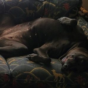 Meet your Posher, Mike-n'karen